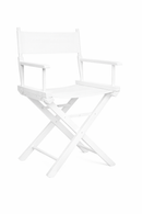 Director / Makeup Chair Mad chair company 