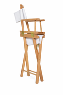 Director / Makeup Chair Mad chair company 