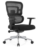 UP Ergo Office Chair
