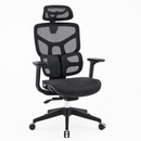 Body Balance Office Chair