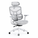 Body Balance Office Chair